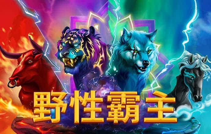 K体育最新网站